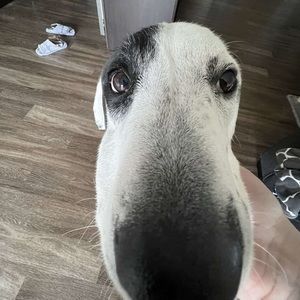 Meet your Posher, Kristian